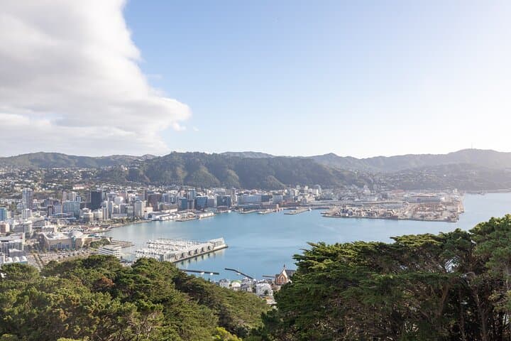 1/2 Day Guided Wellington Tour incl. Cable Car (Vans not buses)