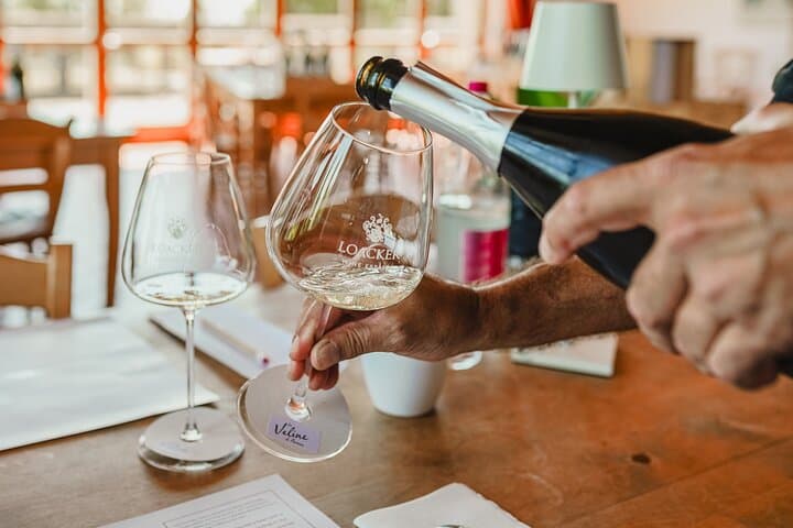 סיור יקב וטעימת יין במונטלצ'ינו