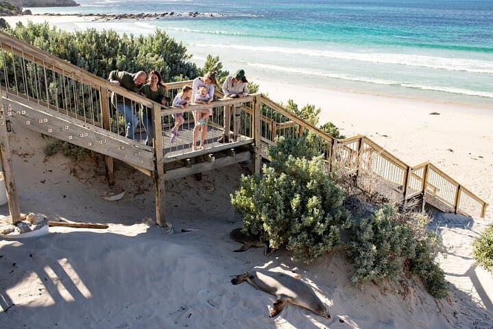 סיור ביום אחד באי קנגורו מאדלייד