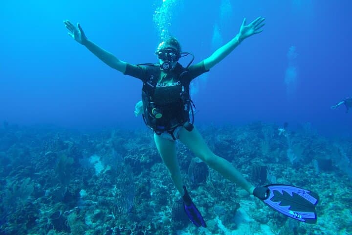 לגלות צלילת SCUBA