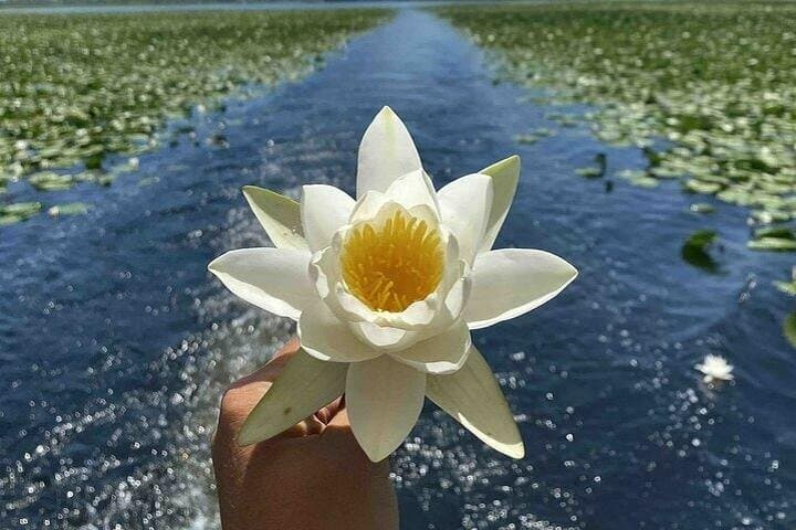 Virpazar Skadar Lake National Park Guided Boat Tour