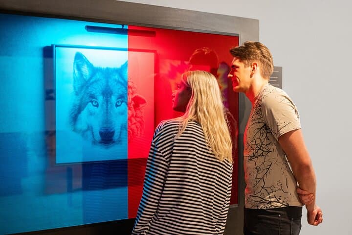 כרטיס כניסה למוזיאון האשליות