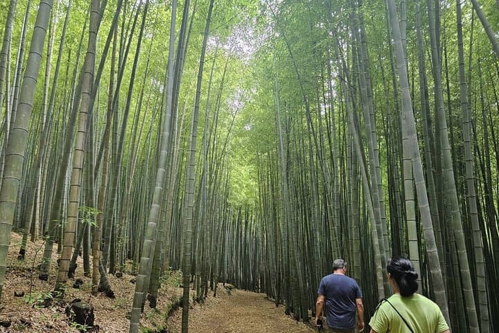 A Well-Rounded Small-Group Busan Tour with Hotel Pickup Service