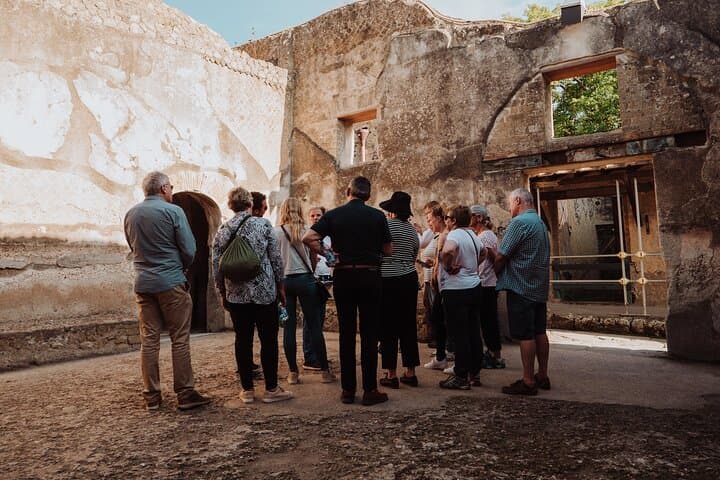 Pompeii and Herculaneum Small Group Tour with an Archaeologist