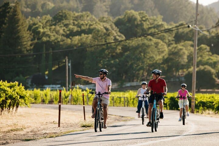 Full Day Guided Electric Bike Wine Tasting Tour with Lunch