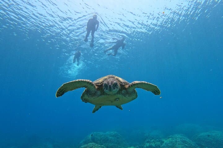 טיול שיתוף שנרקל באיי דימניאת