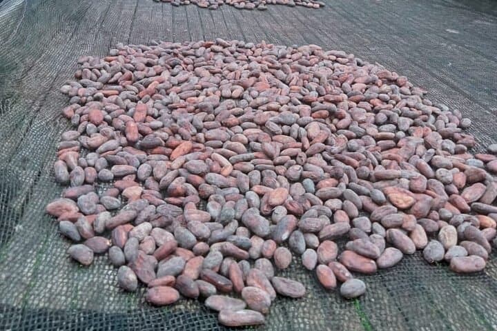 סיור הכנת שוקולד וחוות בבוהול