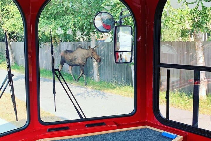 סיור הקרונית של אנקורג'
