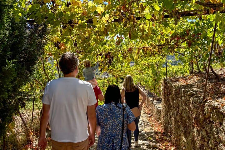  Douro Valley: Private Wine & Food Tour Away from Crowds