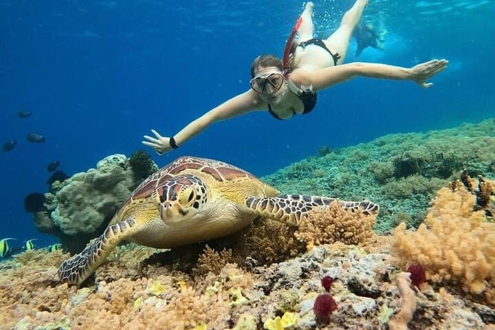 Gili Air: Snorkeling 3 Gili Islands with GoPro Camera