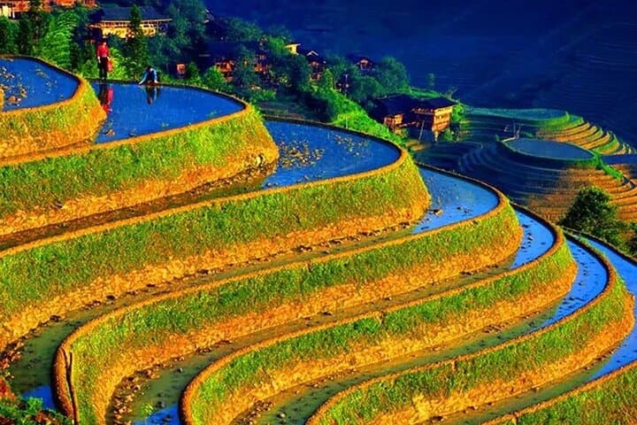 קבוצות קטנות: סיור במרפסות אורז לונגג'י וכפר מיעוטים