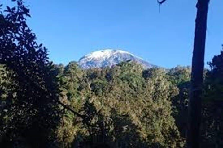 הטיול היומי הטוב ביותר לטיפוס על קילימנג'ארו עם קילינג' אודוונטורס