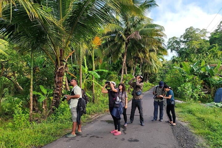 שקיעות קלאפאתר, צפייה בציפורים וסיור בכפר