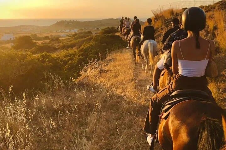 רכיבה בערב בפרוס בשעת הזהב