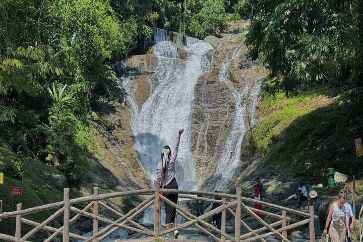 Cameron Highlands with Lunch Guided Day Tour (SIC/Shared Tour)