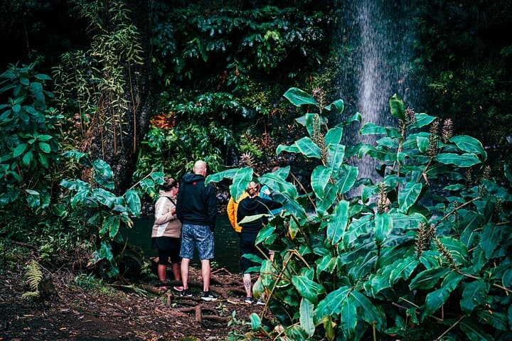  safarijip יום מלא מזרח - פיקו דו אריארו - סנטנה - פונטה דה סאו לורנצו
