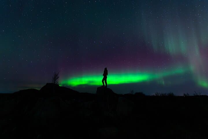 Lofoten Ultimate Aurora Hunt