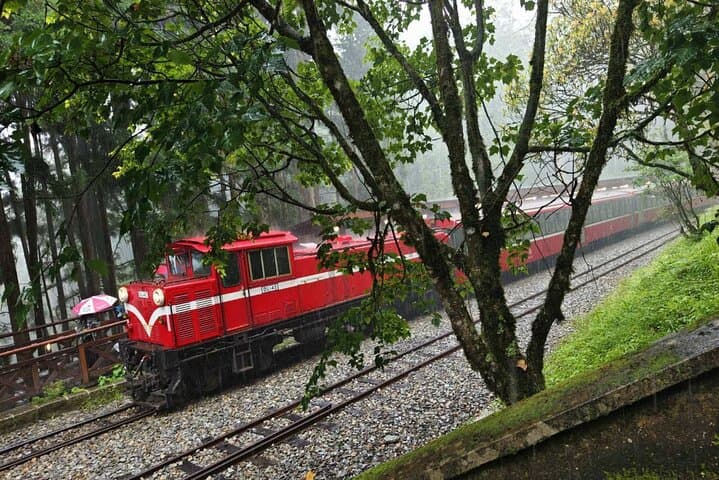 סיור יום אחד מאלישן מטאיצ'ונג