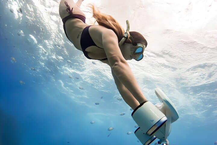 שיארגאו: פעילות סיסקוטר - חווית טיסה מתחת למים