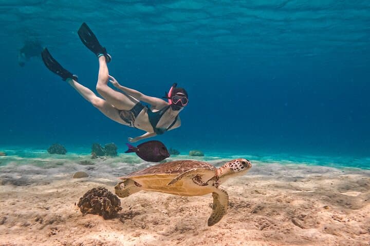 Private Bonaire Snorkeling Experience