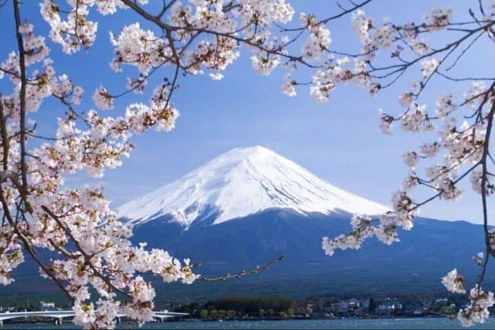 Full Day Private Tour to Mount Fuji And Lake Kawaguchi