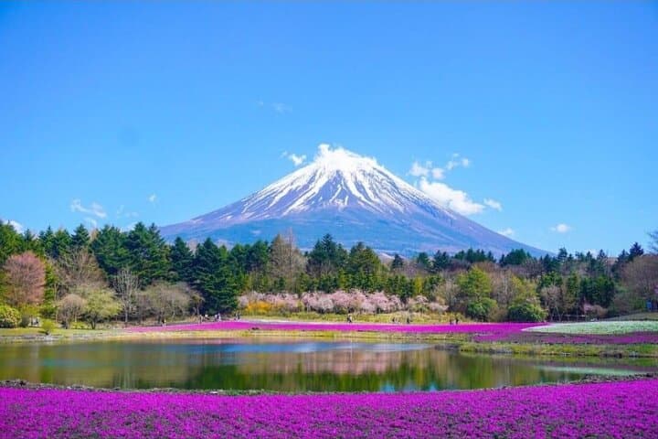 Private Mt. Fuji & Lake Kawaguchi 1-Day Tour with English-Driver