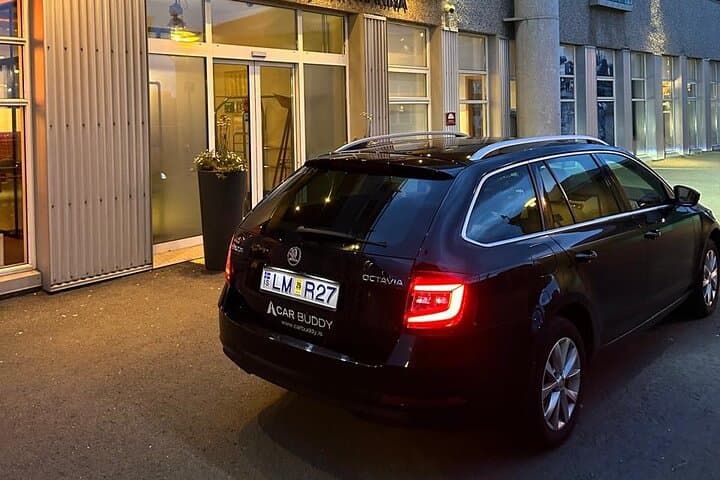Keflavik Airport: Private Transfer for Cruise Ship Passengers