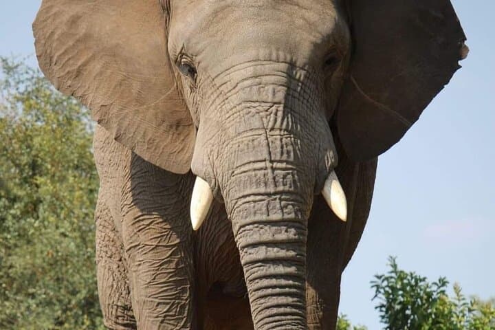 סיור בפארק הלאומי אדו ובפארק המשחקים קרגה קמה