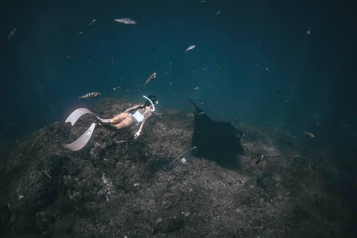 טיול שנורקלינג ושזקיף סביב נוסה פנידה