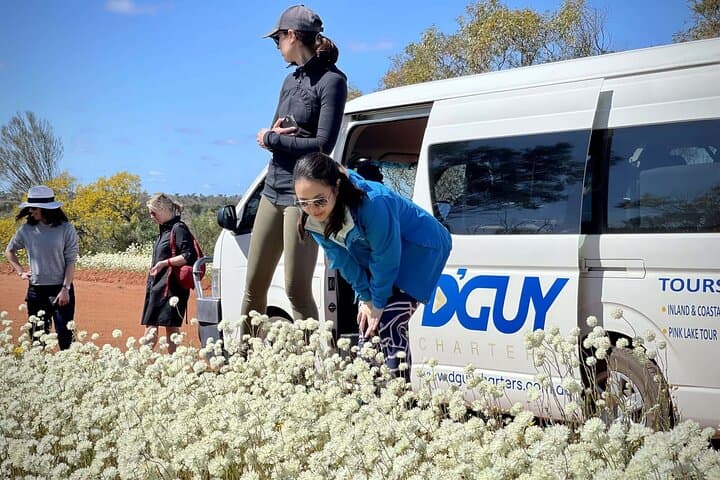 סיור בפרחי בר קלבררי