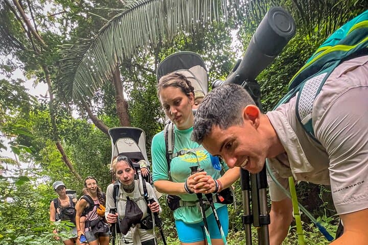 EcoHike to private beach, Jungle Walk to see plants & animals