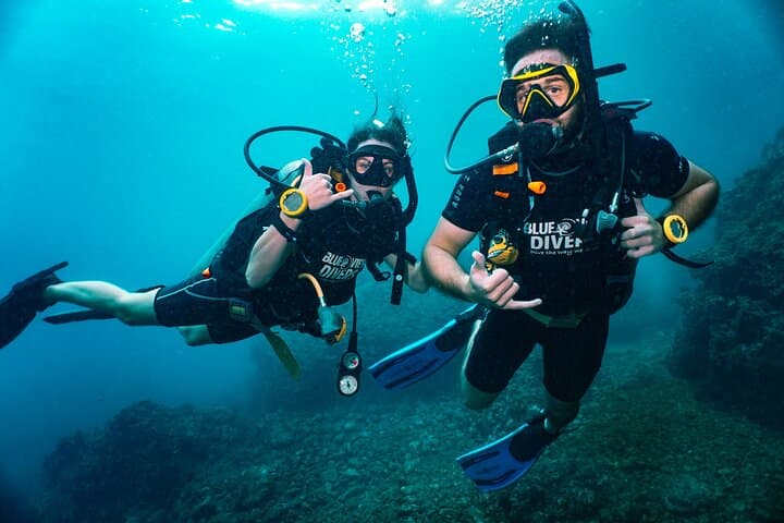 מפאי פאי: חצי יום גילוי צלילה (2 צלילות)