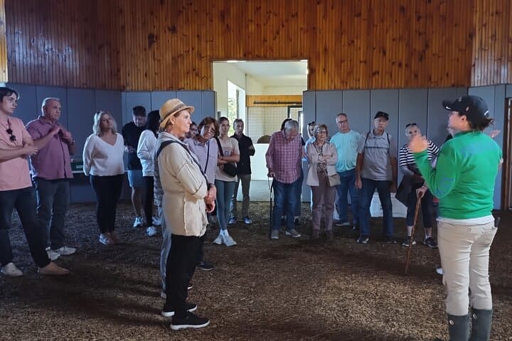 סיור חוות סוסים טורברדר לחצי יום בקנטקי