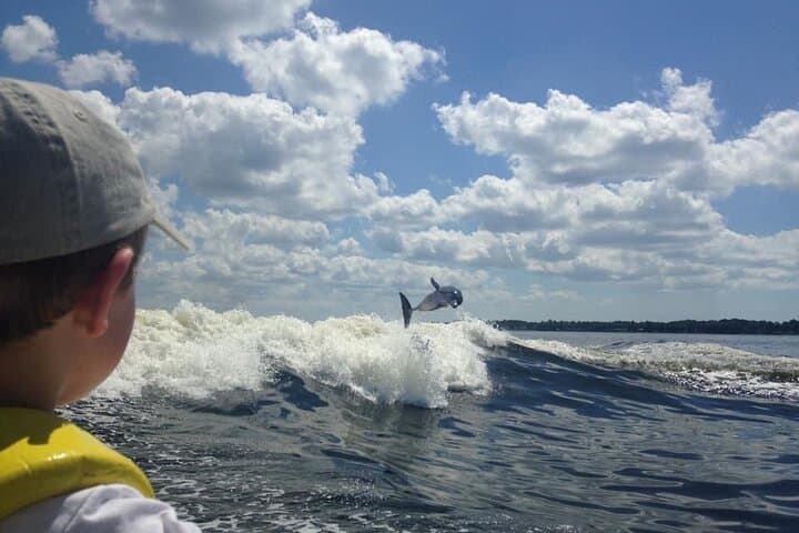 צפייה בדולפינים על גבי צי קולד מיל