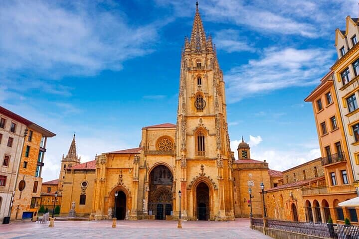 סיור פרטי באוביידו