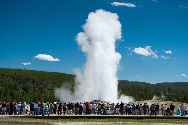 From Bozeman Express Yellowstone Full Day Tour