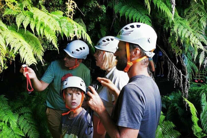 Pico Island highlights - Private tour (+ optional wine tasting)