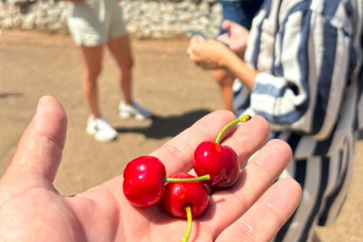 אופניים חשמליים, פוקאצ'ה ויין