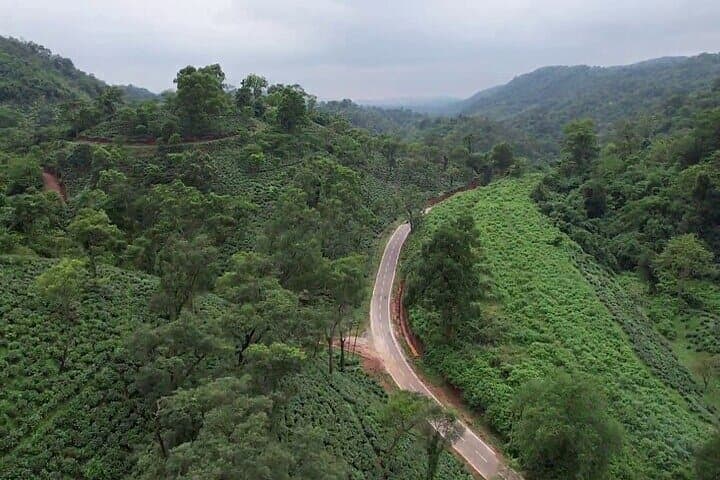 Amchong Tea Estate with Jeep Safari and Hi Tea