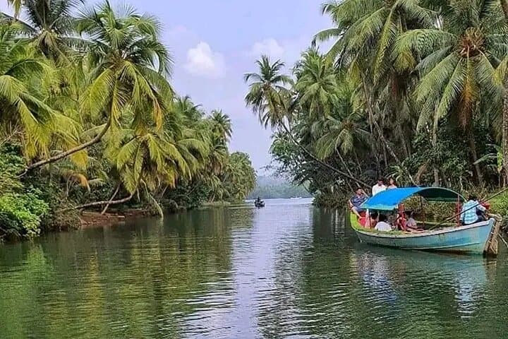 Kumarakom Backwaters : Bird Sanctuary : Private Tour Coconut Lagoon