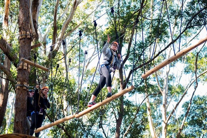 Treetops Adventure Coffs Harbour Tree Ropes Course