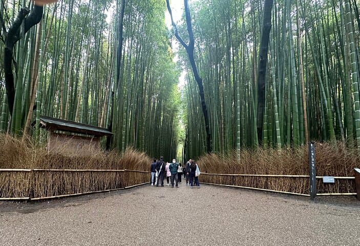 Kyoto Private Customizable Day Trip With English chauffeur