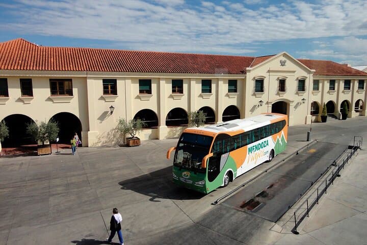  Mendoza Wine and Oil Tasting in Maipu