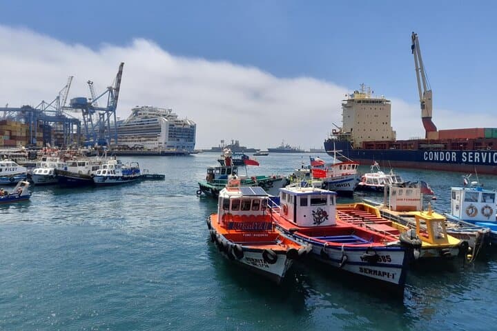 Post Cruise Tour to Valparaiso & Casablanca: Drop-off in Santiago