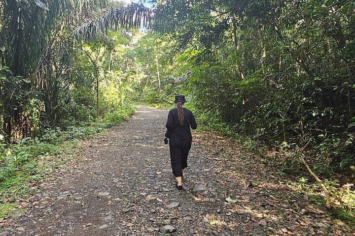 Gamboa Rainforest: Hike Trail, Boat Expedition & Optional Zipline