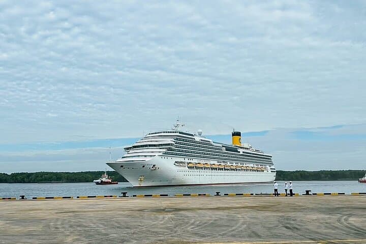 Ho Chi Minh City Shore Excursion Private Tour From Phu My Port