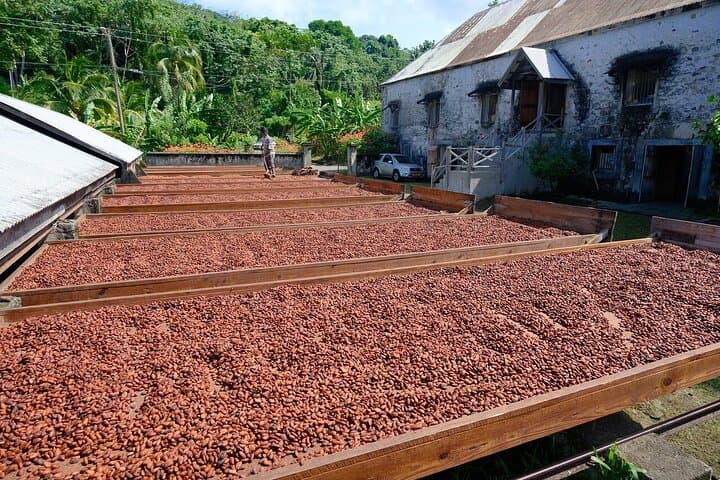 סיור מלא ביום: מפל קונקורד, מפעל שוקולד, מזקקת רום, גרנד אטאנג