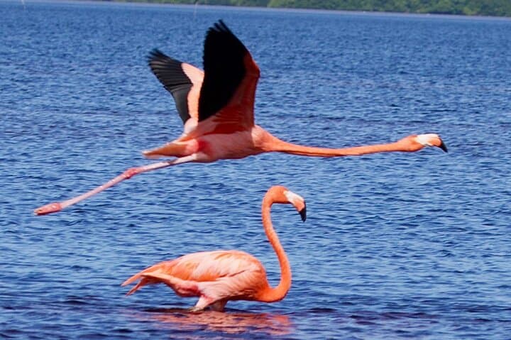 טיול לביוספירה של סלסטון ויום חוף ממרידה