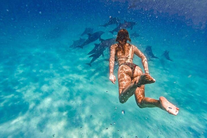 Mnemba Island Snorkeling and Swimming with Dolphins with lunch 