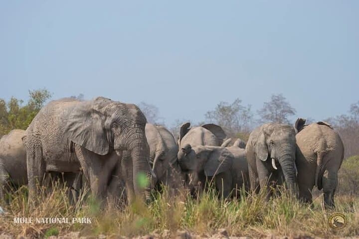 4 Days Adventurous Wildlife Safari 